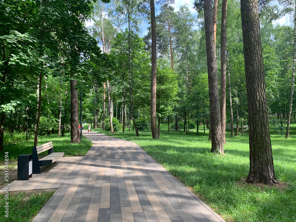 Moscow region, the city of Balashikha. Shady alley in the Park Pekhorka in the summer Moscow region, the city of Balashikha. Shady alley in the Park Pekhorka in the summer