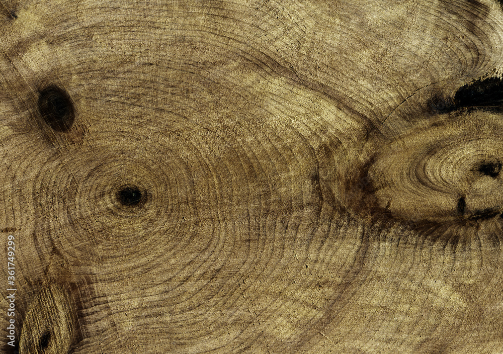 Fototapeta premium Grunge wood