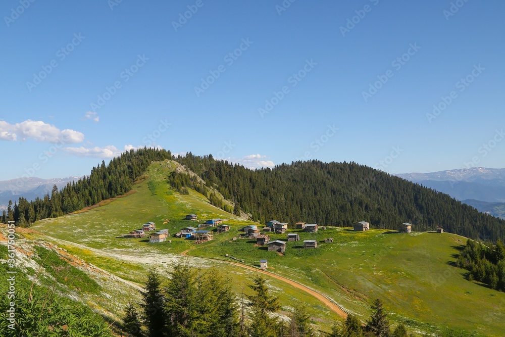 Mountain green hill valley village view. Mountain village landscape. Savsat/Artvin/Turkey
