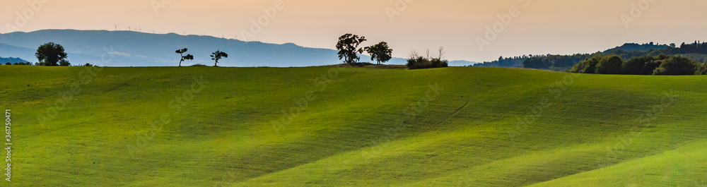 Fototapeta premium Wzgórza Toskanii