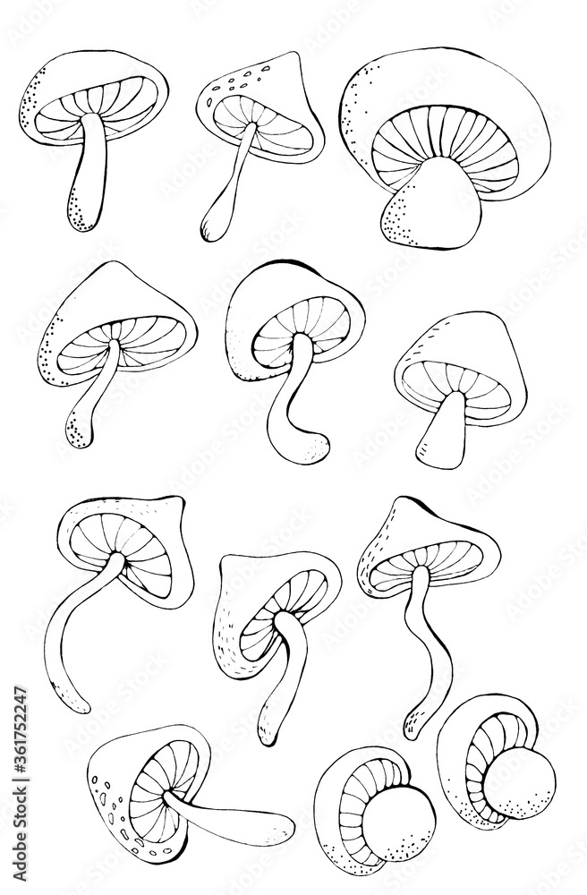 Set of outline mushrooms for design and creativity Set of outline mushrooms for design and creativity