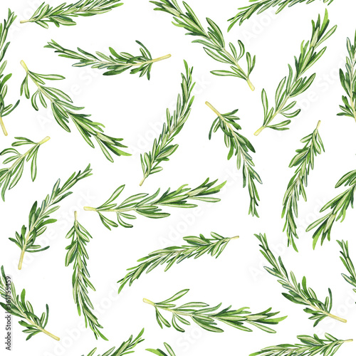 Seamless pattern with green rosemary branches on white background. Hand drawn watercolor illustration.