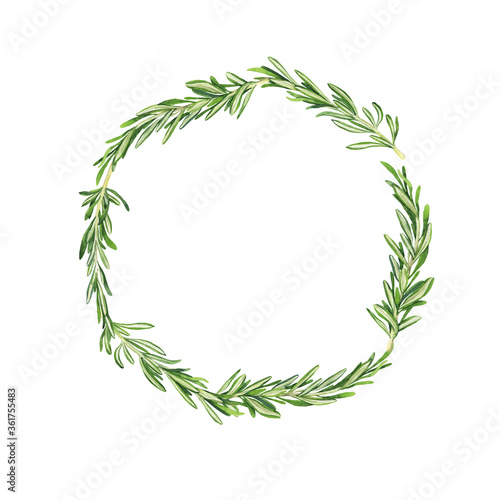 Green rosemary branches round frame on white background. Hand drawn watercolor illustration.