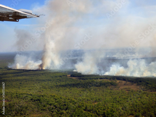 Australia, cockatoo, Nourlangie Rock, flight over the natural park, forest in flames, fire