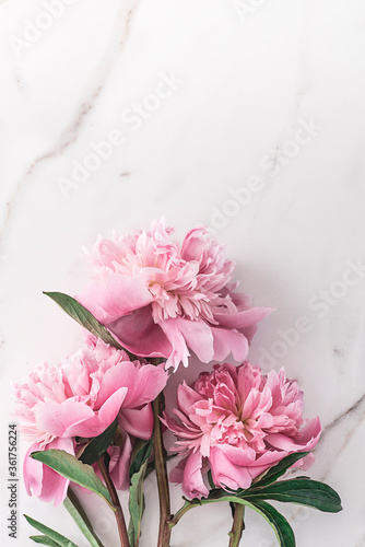 Flat lay with white peonies on a marble background and copy space for graphic design