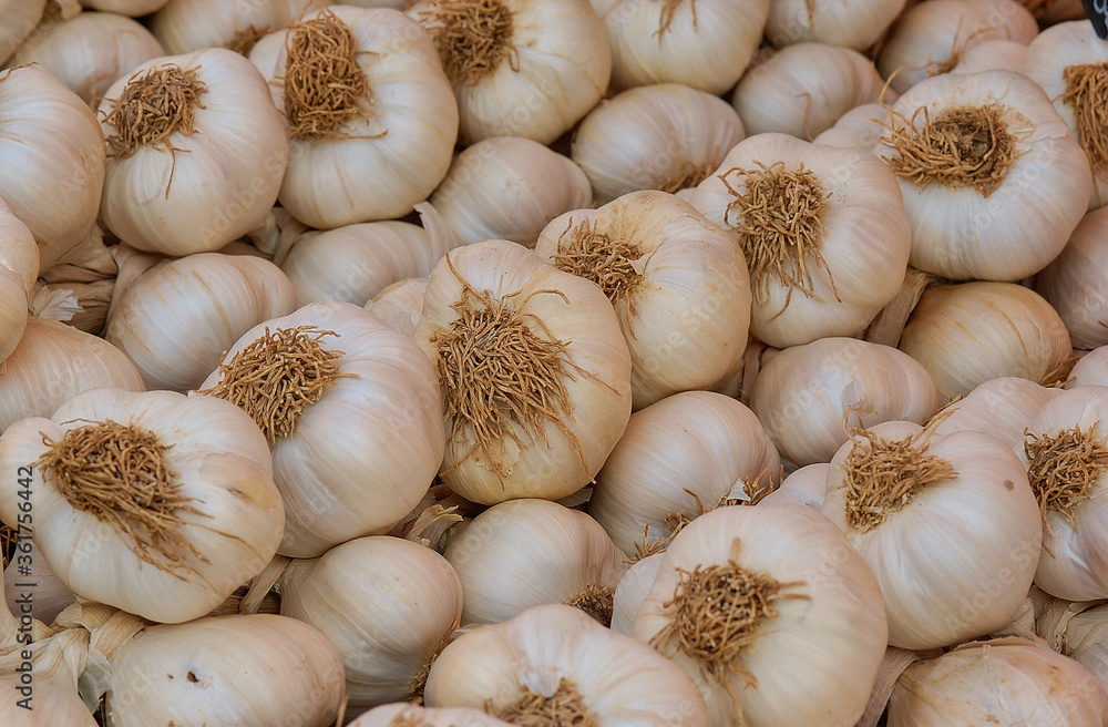 ail,garlic ail,garlic