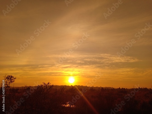 Wallpaper Mural sunset over the field. Beautiful sunset Torontodigital.ca