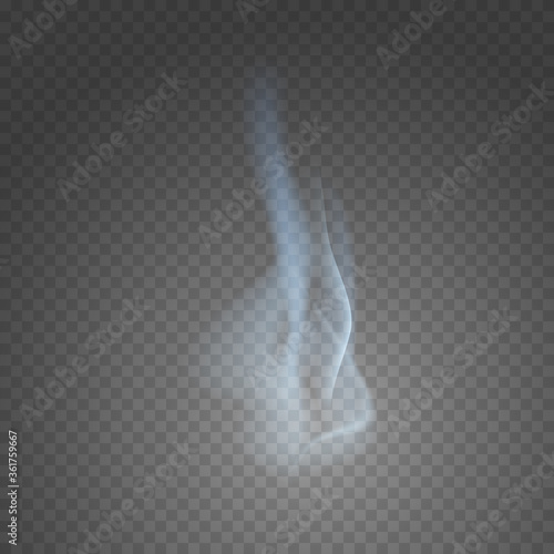 Smoke effect isolated on transparent background. Blue vapor steam backdrop. Vector translucent mist, fog, steam element template