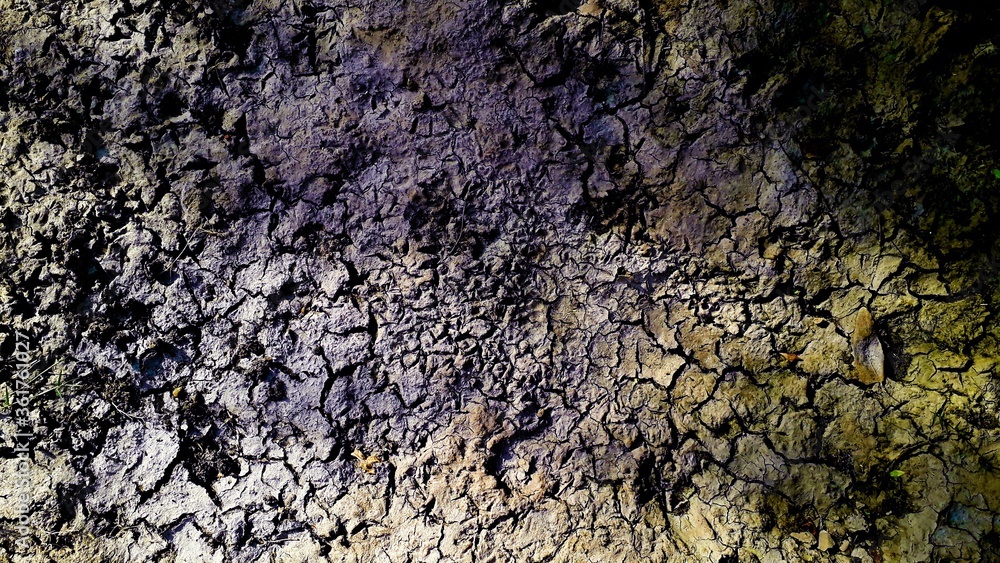 cracked or broken dry land scary horror background or texture cracked or broken dry land scary horror background or texture