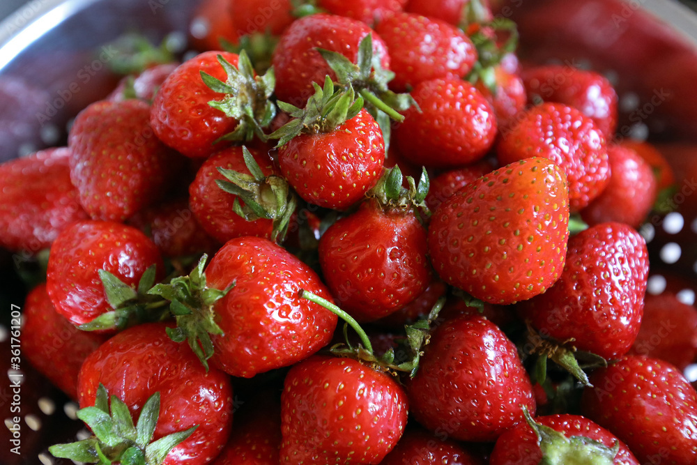 frische Erdbeeren frische Erdbeeren