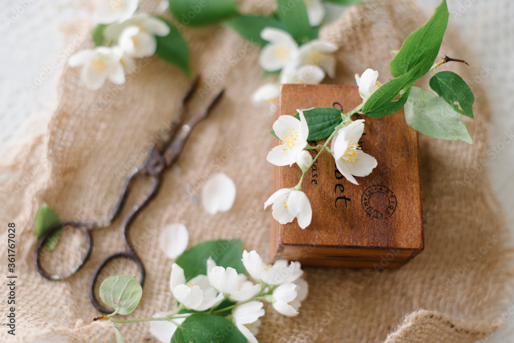 White blossom jasmine with old scissors and wood box White blossom jasmine with old scissors and wood box