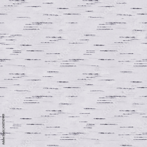 Natural background - black and white birch bark texture, birch seamless pattern