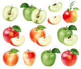 Big set of apples watercolor illustration isolated on white background