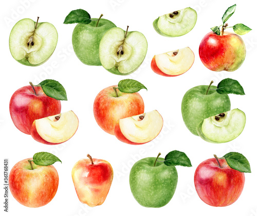 Photographie Big set of apples watercolor illustration isolated on white background