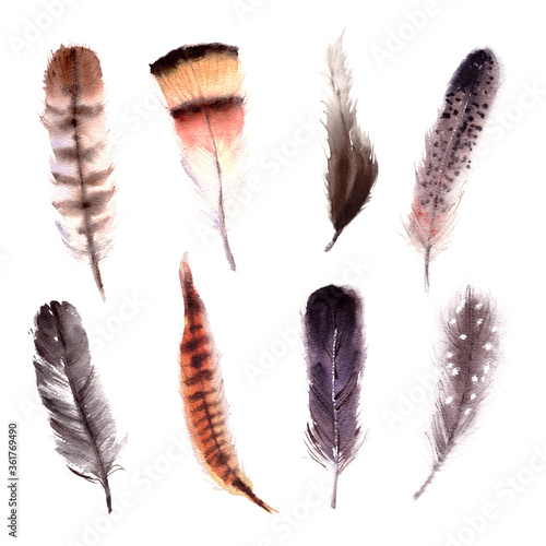 Hand drawn watercolor bird feathers set © katyabogina