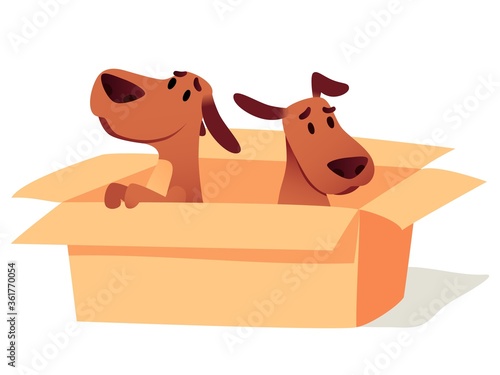 Dogs in cardboard box waiting for owner, adoption concept. Homeless cute puppies searching new home. Animals sitting in carton. Help sad pets to find friend cartoon vector illustration