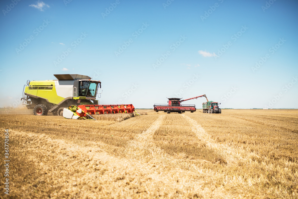 Obraz premium Against the backdrop of a sunny summer day and blue sky with clouds. Combine harvester harvesting ripe golden wheat on the field. The image of the agricultural industry