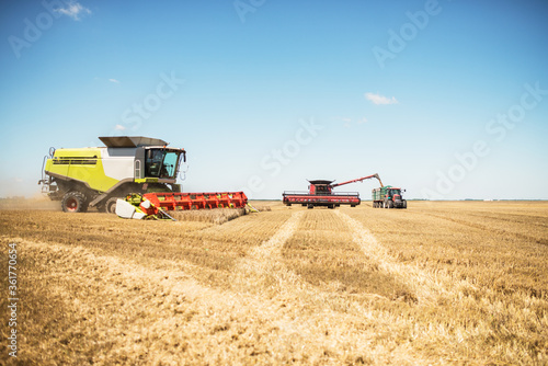 Against the backdrop of a sunny summer day and blue sky with clouds. Combine harvester harvesting ripe golden wheat on the field. The image of the agricultural industry