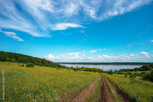 Agricultural scenic field of green herbaceous plants and wild flowers. Dirt road and dirt road  river and forest in the distance on the background of a blue sky with clouds