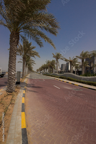 Dubai - Palmen © Paola