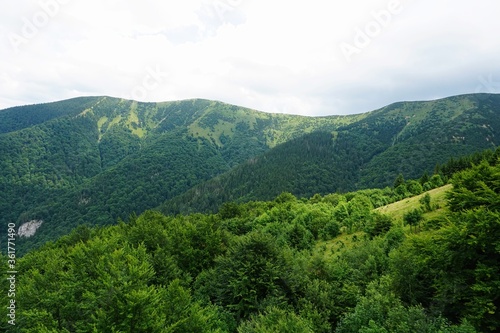 Mala Fatra mountains panorama in summer, Slovakia