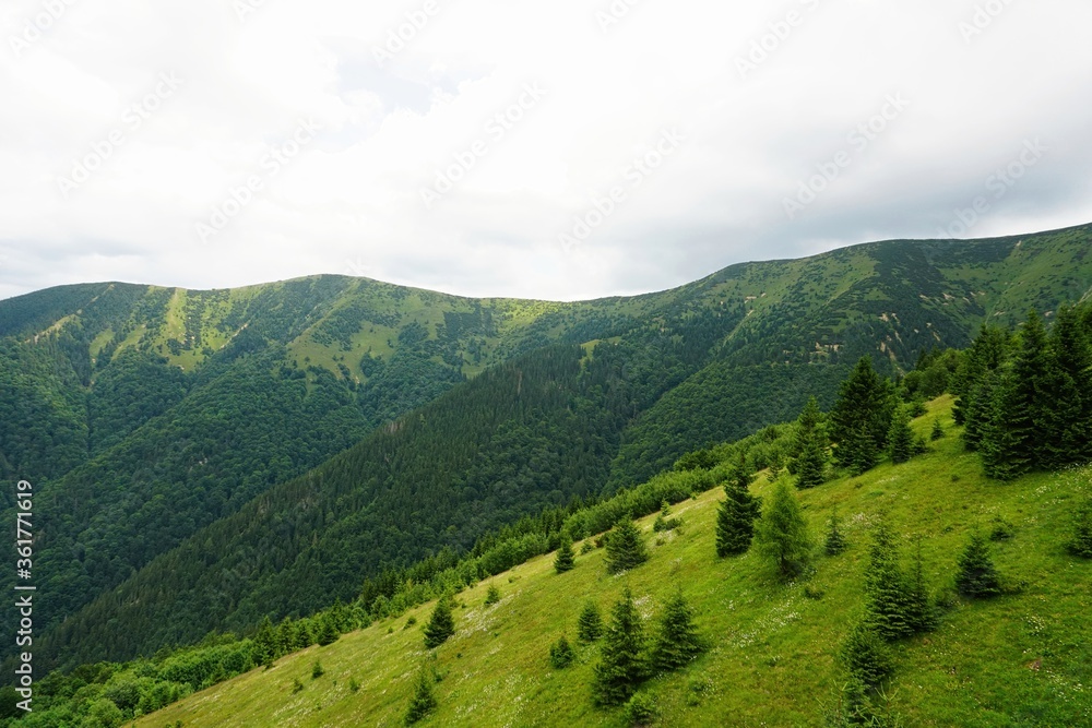 Naklejka premium Mala Fatra mountains panorama in summer, Slovakia