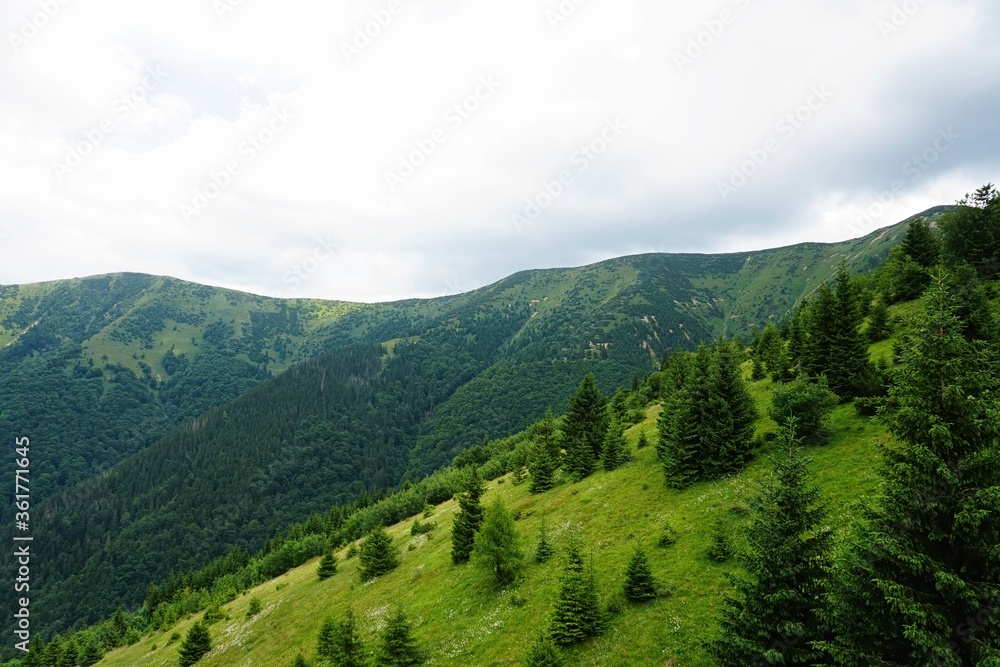 Fototapeta premium Mala Fatra mountains panorama in summer, Slovakia