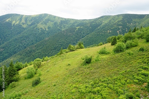 Mala Fatra mountains panorama in summer, Slovakia © Art Johnson