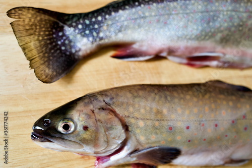 Saiblinge am Holzbrett