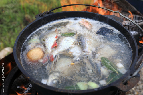 Russian fish soup in cauldron