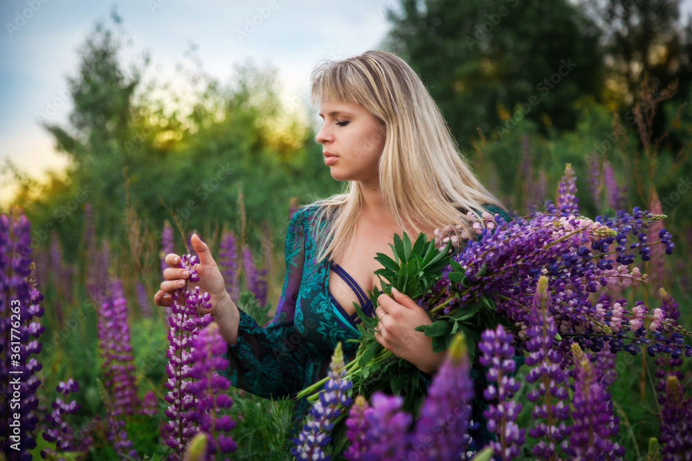 A girl in a Lupin field at sunset. Girl with a bouquet. A girl in a Lupin field at sunset. Girl with a bouquet.