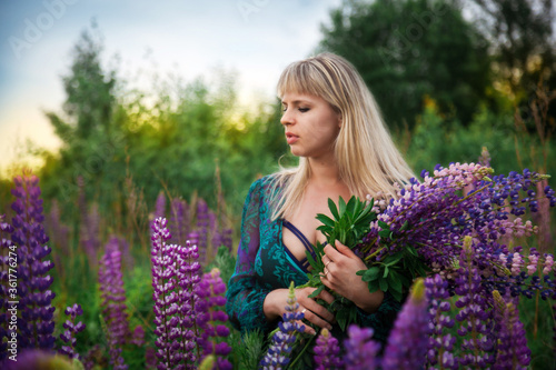 A girl in a Lupin field at sunset. Girl with a bouquet.