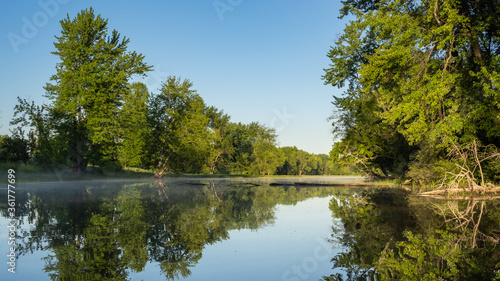 reflection of trees in the water
