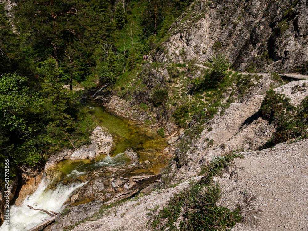 River in the Oetschergraeben Gorge in Austria River in the Oetschergraeben Gorge in Austria