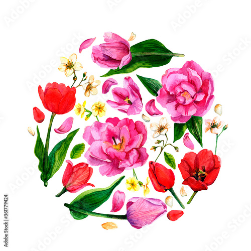 Watercolor composition of pink and red tulips  primroses. Buds  flowers and leaves. Spring flowers in a circle. Flowers isolated on a white background. For the design of cards  posters  invitations.