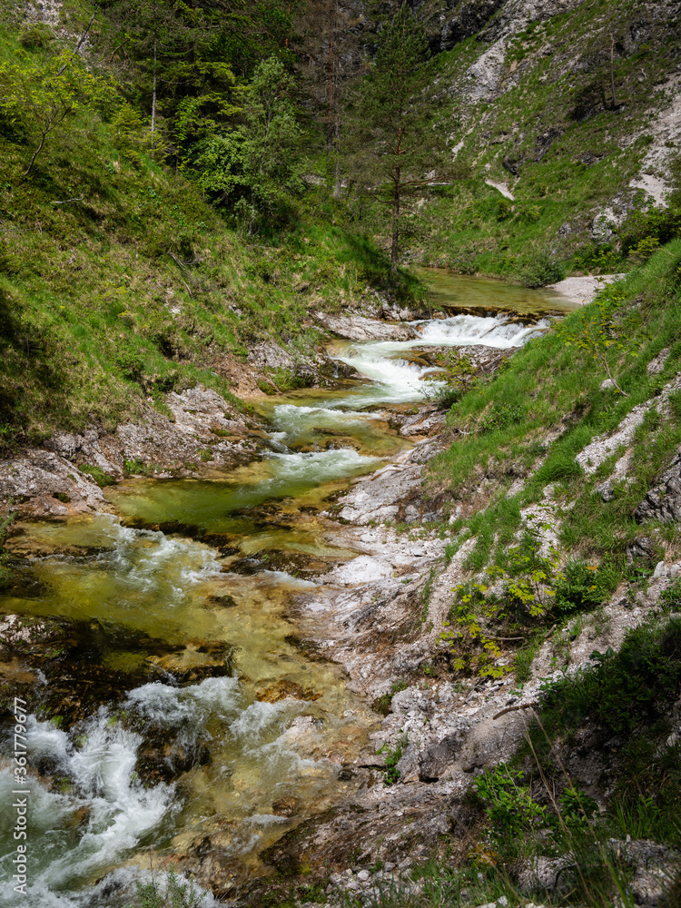 River in the Oetschergraeben Gorge in Austria River in the Oetschergraeben Gorge in Austria