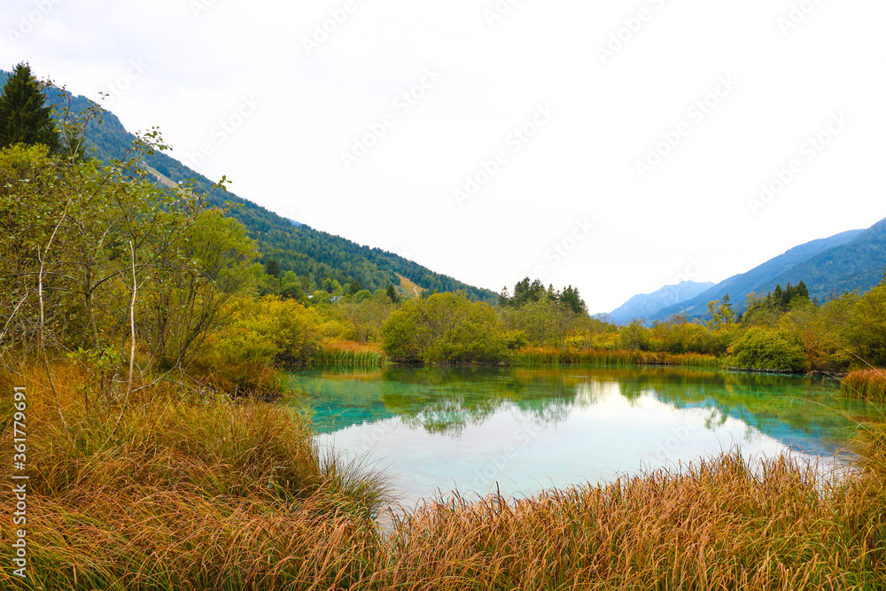 Zelenci nature reserve in autumn in Triglav national park. Kranjska Gora, Slovenia.