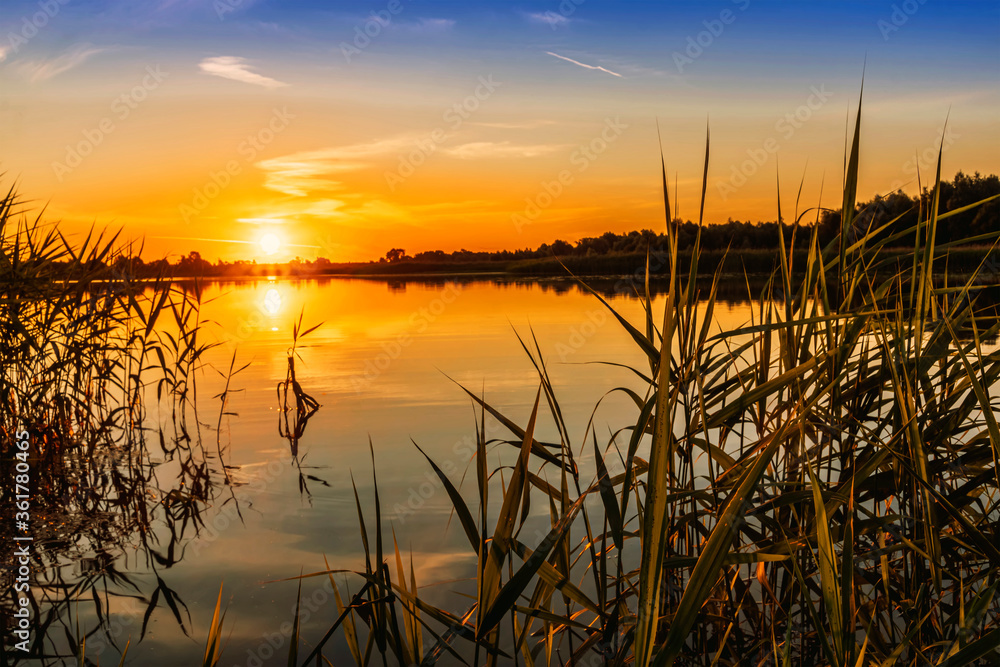 Scenic view at beautiful spring sunset with reflection on a shiny lake with green reeds, grass, golden sun rays, calm water ,deep blue cloudy sky and glow on a background, spring evening landscape Scenic view at beautiful spring sunset with reflection on a shiny lake with green reeds, grass, golden sun rays, calm water ,deep blue cloudy sky and glow on a background, spring evening landscape