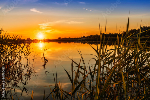 Scenic view at beautiful spring sunset with reflection on a shiny lake with green reeds  grass  golden sun rays  calm water  deep blue cloudy sky and glow on a background  spring evening landscape