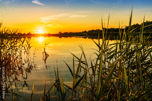 Scenic view at beautiful spring sunset with reflection on a shiny lake with green reeds  grass  golden sun rays  calm water  deep blue cloudy sky and glow on a background  spring evening landscape