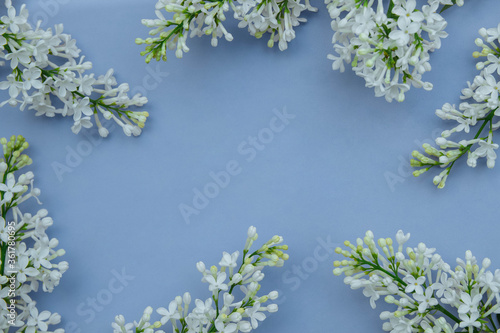 Frame of white lilac flowers close-up on a blue background with an empty space for text, copy space, flat lay, greeting concept, business cards and background © Ирина Компаниец