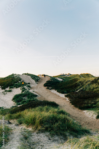 Lyngvig Fyr bei Hvide Sande - Leuchtturm an Nordsee 