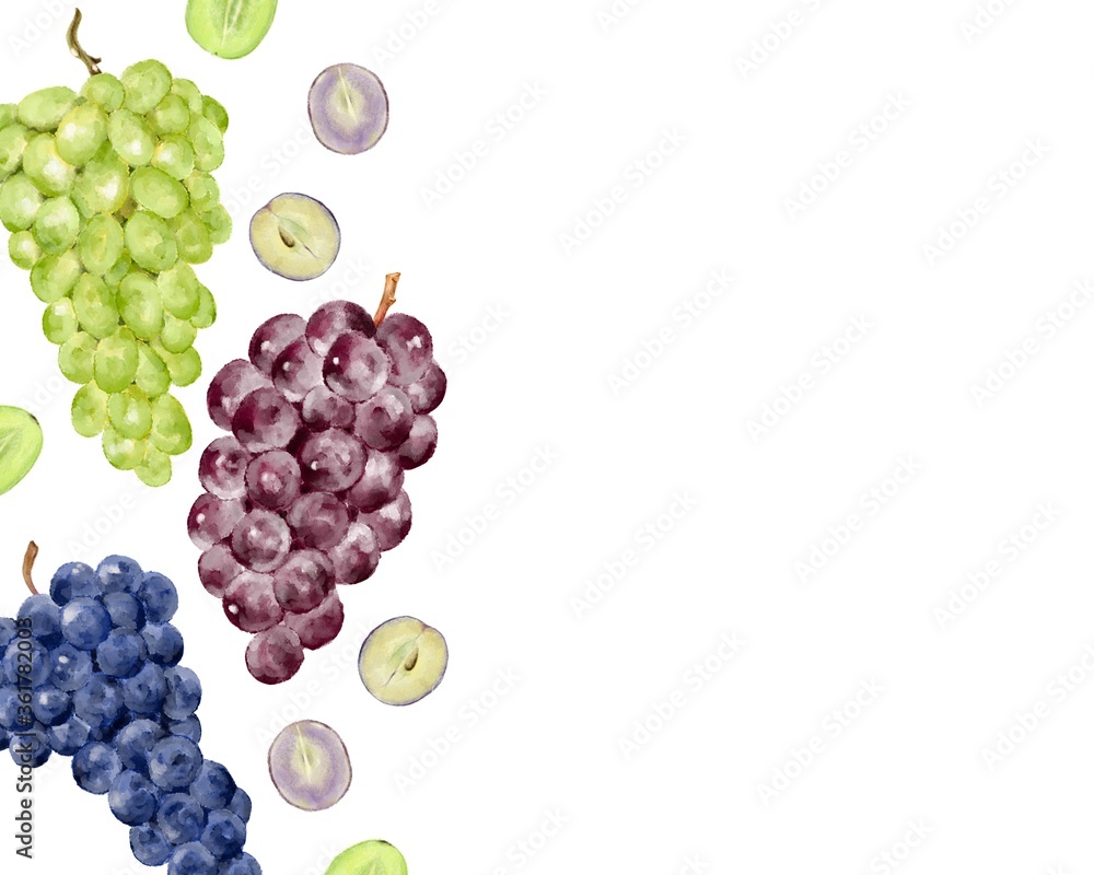 3種類の葡萄 柄 水彩風イラスト Stock Illustration Adobe Stock
