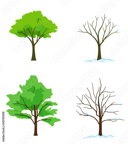 緑葉の木と雪の積もった冬のた木　セット