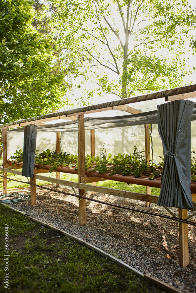 beautiful organic garden hydroponic system beautiful organic garden hydroponic system