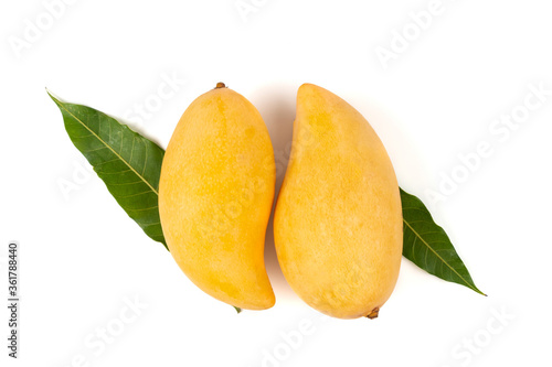 Fresh mangoes on white background.