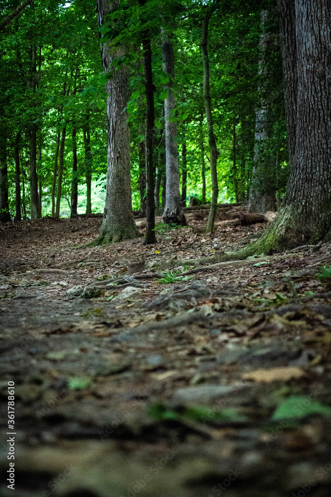 Naklejka premium Burke Lake