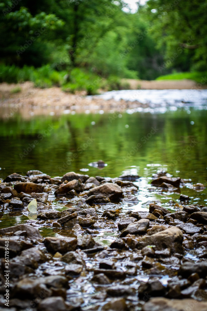 Creek in Virginia