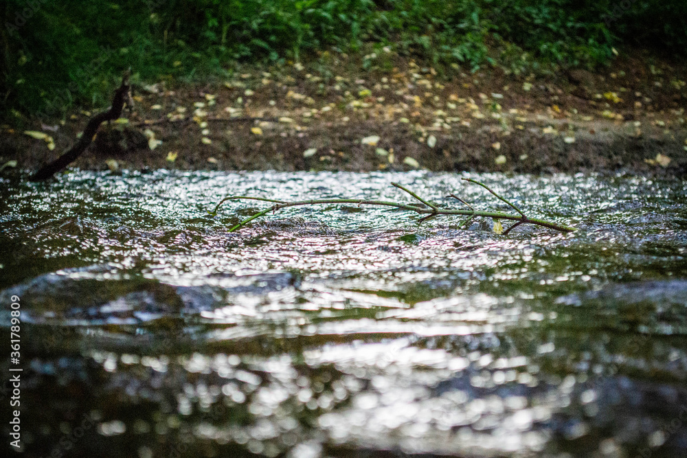 Fototapeta premium Creek in Virginia