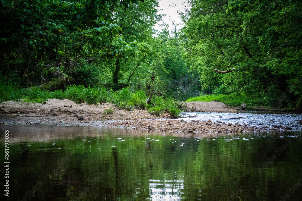 Creek in Virginia
